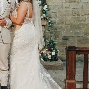 Wedding Dress & Veil